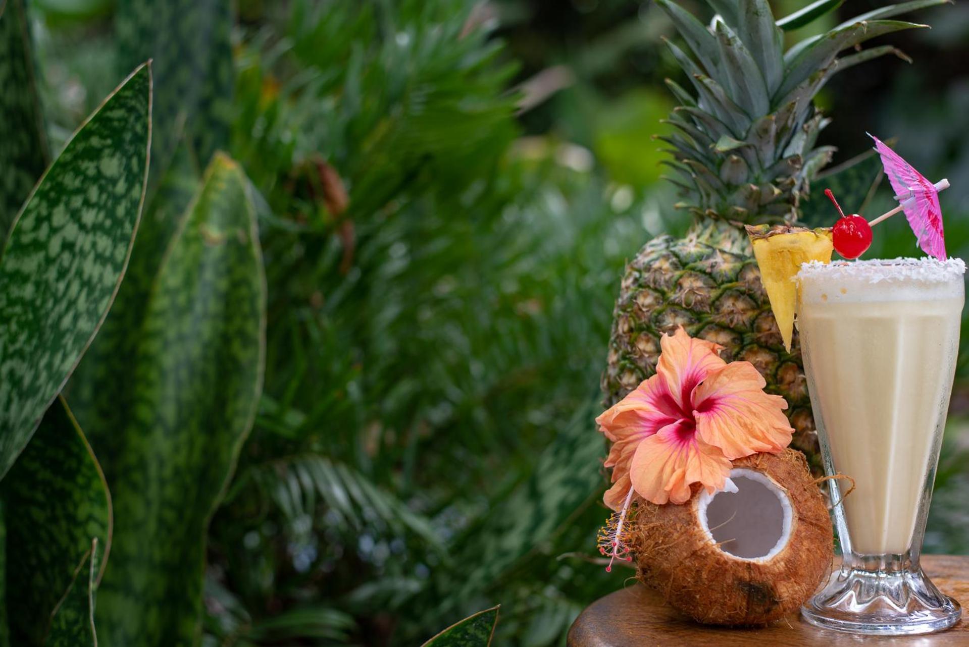 Hotel Banana Azul - Adults Only Puerto Viejo de Talamanca Экстерьер фото